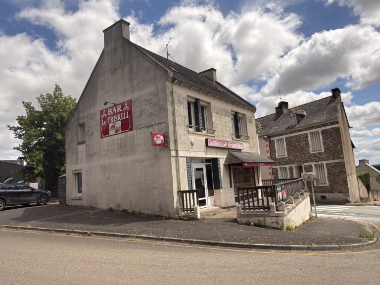Guerlédan (Mûr-de-Bretagne) — Immeuble avec local commercial, T2 et grenier aménageable